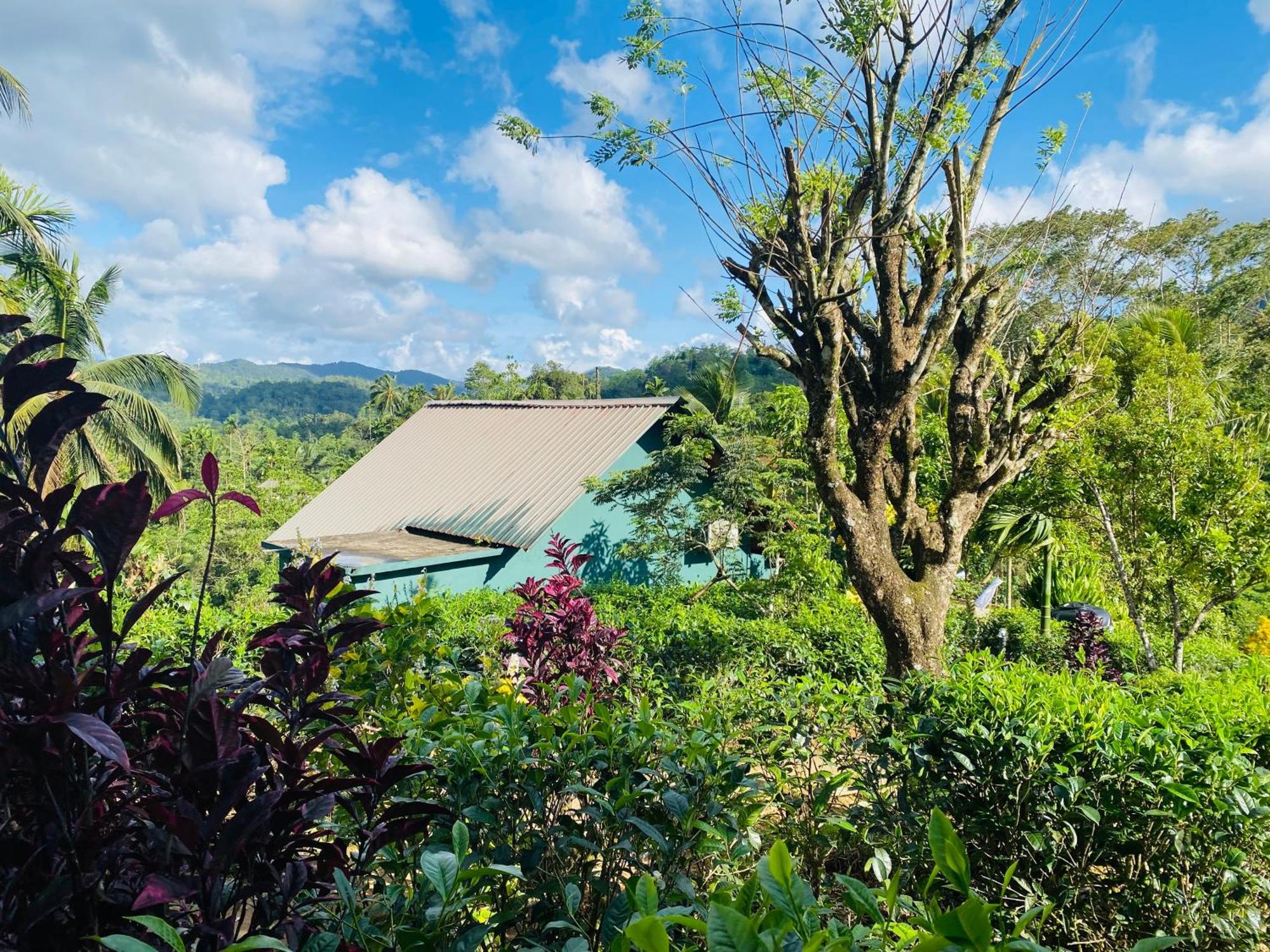 Rainforest Mount Lodge Deniyaya Exterior foto