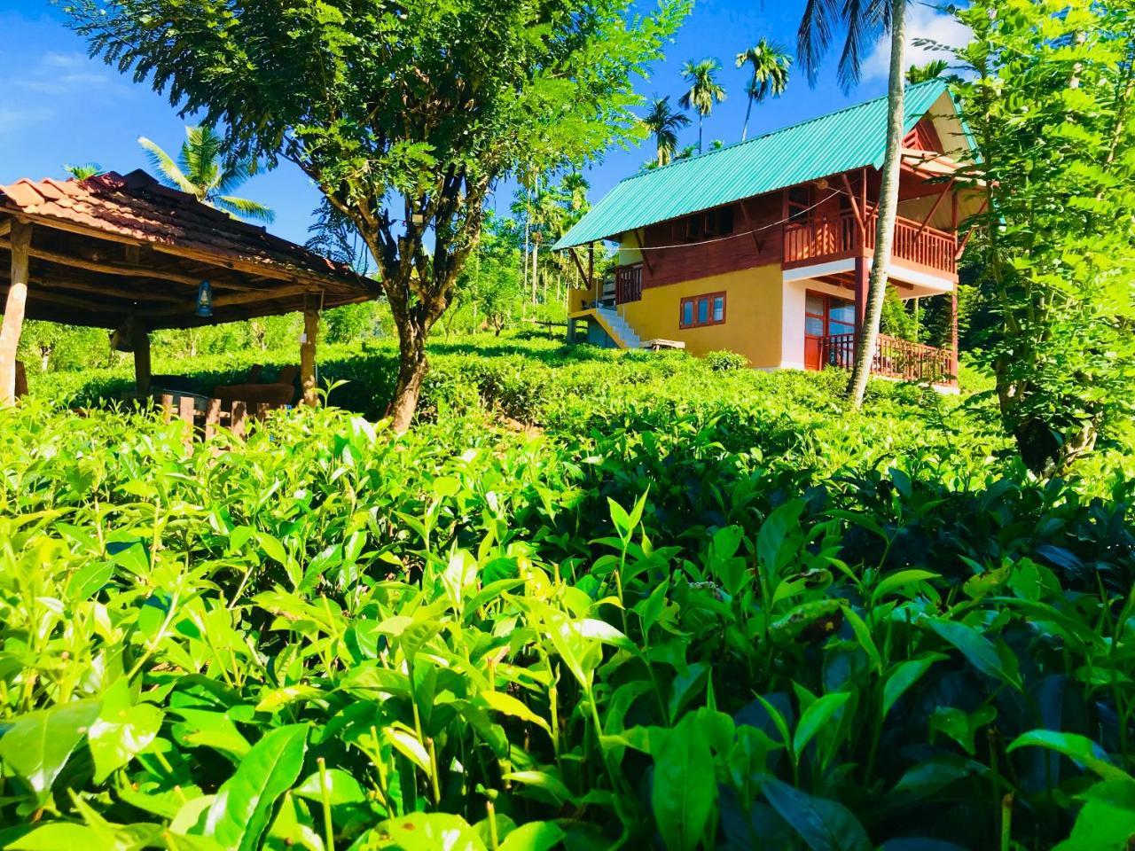 Rainforest Mount Lodge Deniyaya Exterior foto